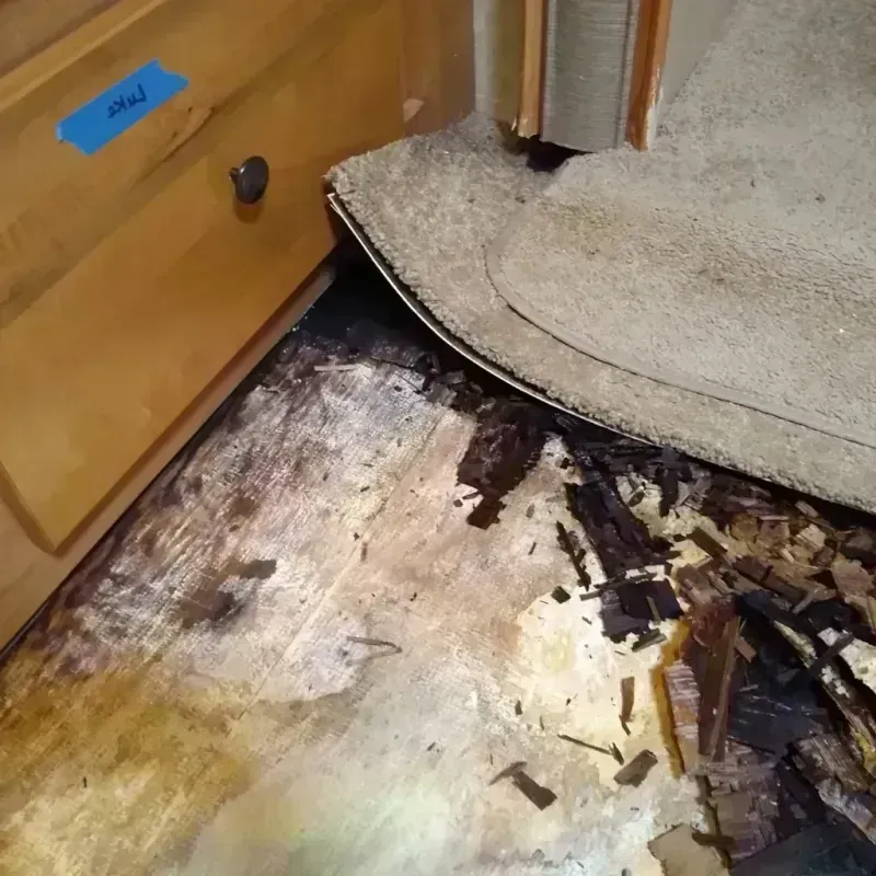 Wood Floor Water Damage in Wales, WI